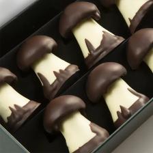 Michel Cluizel Chocolate Champignons with Caremel 90 g