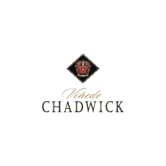 Viñedo Chadwick