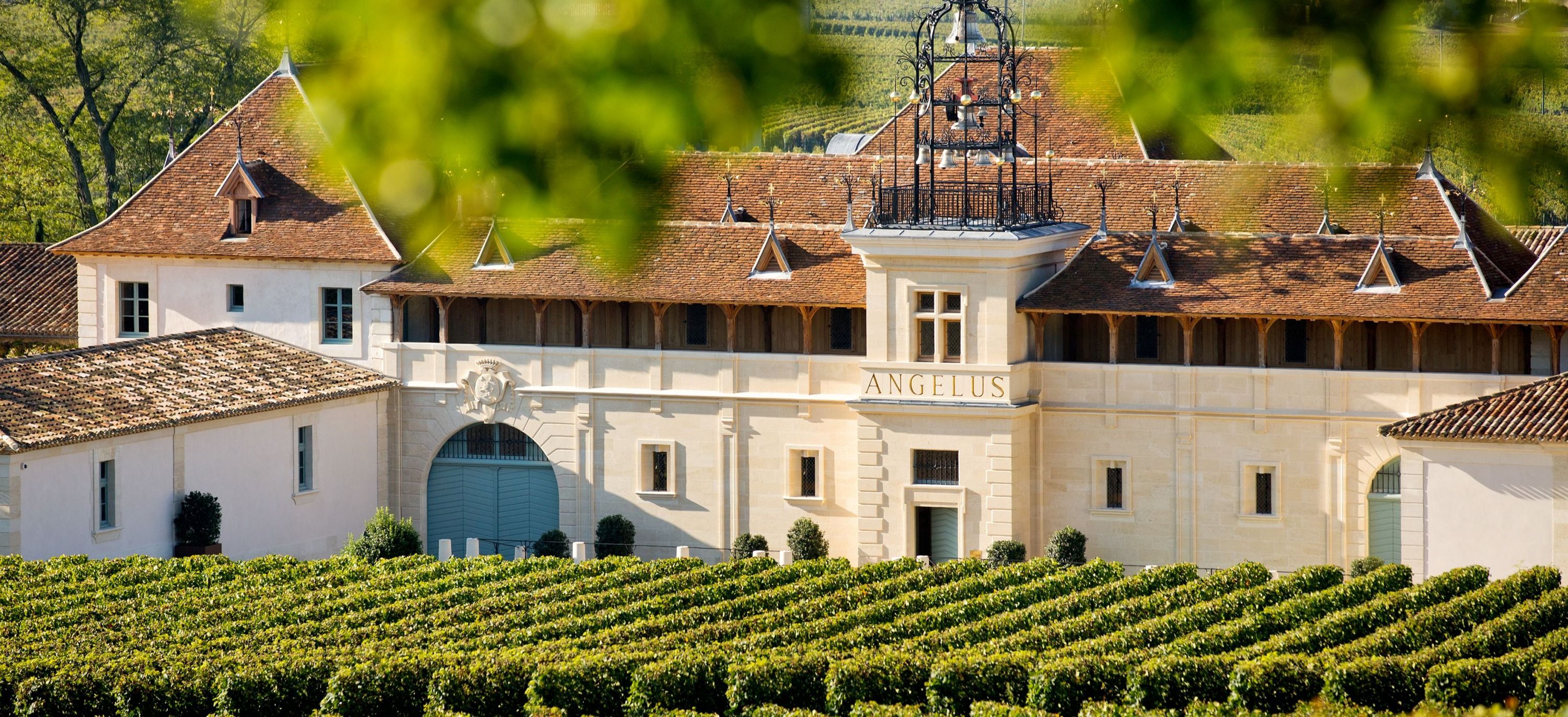 From the heart of Saint-Émilion, the second wine of the famous Château Angélus