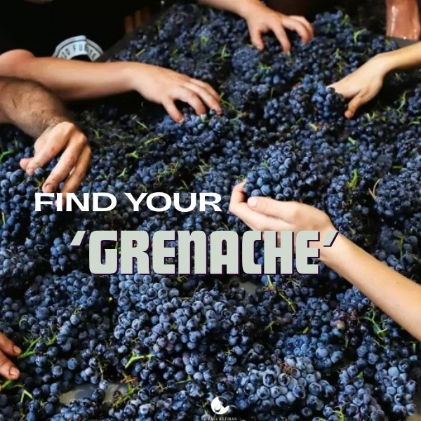Grenache Day – September 18th