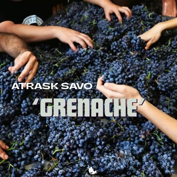 Grenache diena – charakterio kupinai vynuogei