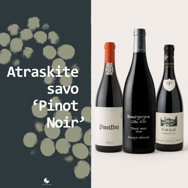'Pinot Noir' turi daugiau nei vieną veidą