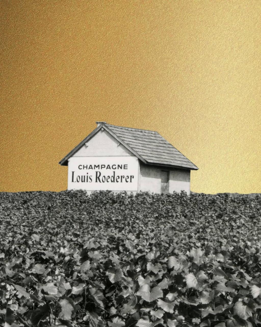 Louis Roederer - išskirtinė kokybė šeimos rankose jau 250 metų!