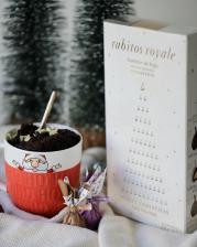 Rabitos Royale figs in chocolate assorti Feliz Navidad 3 x 6 units in the box 292 g