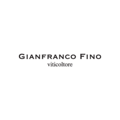 Gianfranco Fino