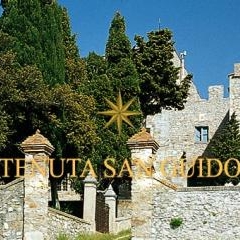 Tenuta San Guido