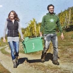 Weingut Sonnhof Jurtschitsch KG
