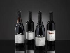 Gaja