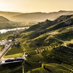 Domane Wachau