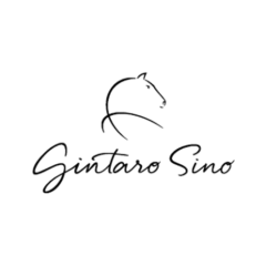 Gintaras Sinas