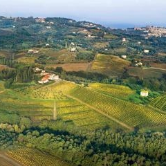 Biondi Santi - Tenuta Greppo