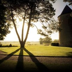 Château d'Yquem