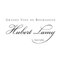 Hubert Lamy