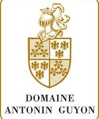 Antonin Guyon