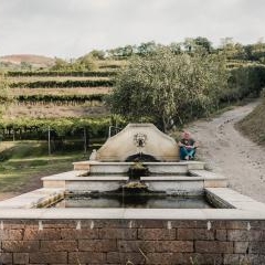 Azienda Agricola di Graziano Prà