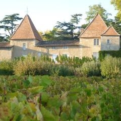 Château Carbonnieux