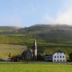 Weingut Reichsgraf von Kesselstatt