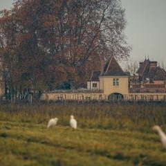 Château Rauzan-Ségla