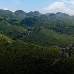 Azienda Vinicola Follador di Rossi Italia & C.S.N.C