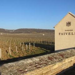 Domaine Faiveley