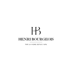 Henri Bourgeois