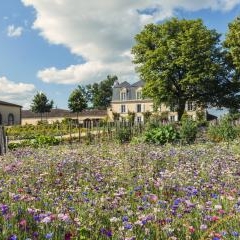 Chateau Guiraud