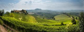 Azienda Agricola Elvio Cogno