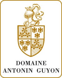 Antonin Guyon