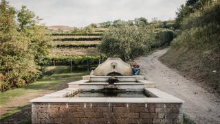 Azienda Agricola di Graziano Prà