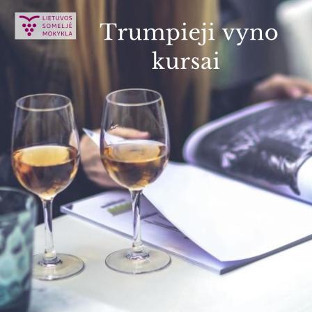 Trumpieji vyno kursai mėgėjams vienam VILNIUJE