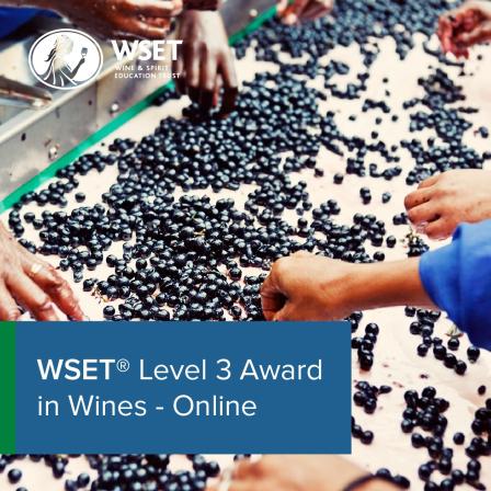 WSET Level 3 Award in Wines 