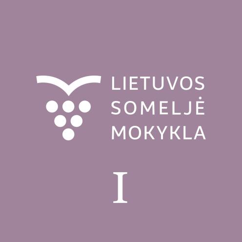 Someljė studijos. Pirmas semestras.