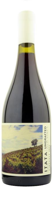 De Martino Ungrafted Cinsault Itata DO 2022 