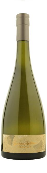 Susana Balbo Signature Barrel Fermented Torrontés 2023