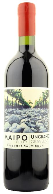 De Martino Ungrafted Cabernet Sauvignon Maipo Valley 2023 