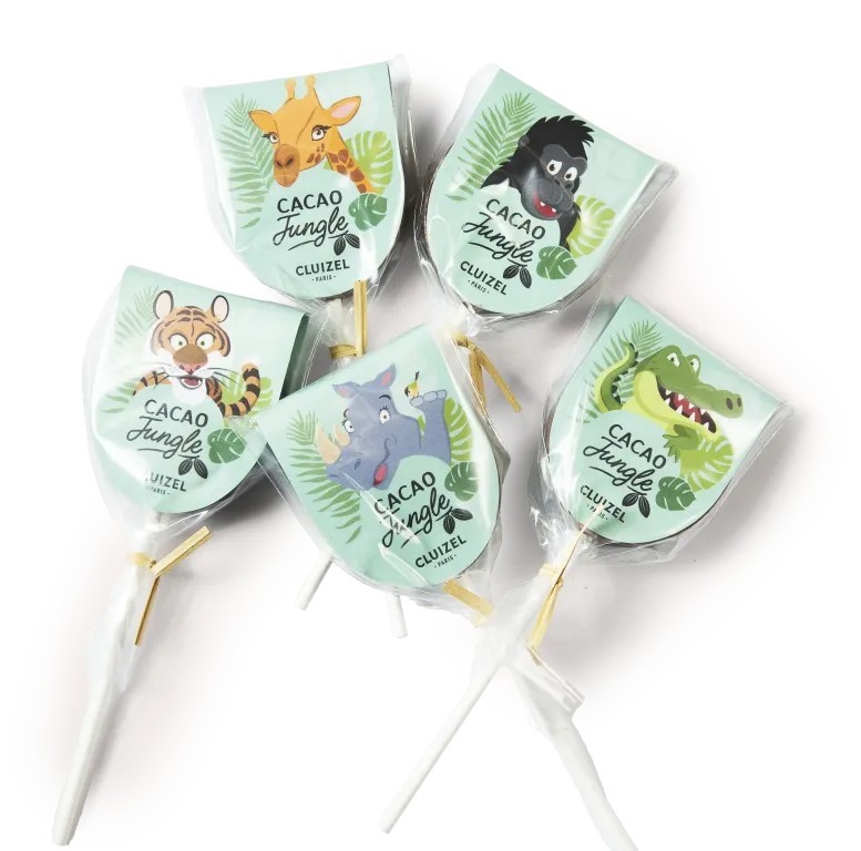 Michel Cluizel Chocolate on the Stick Cacao Jungle 28 g 1 unit