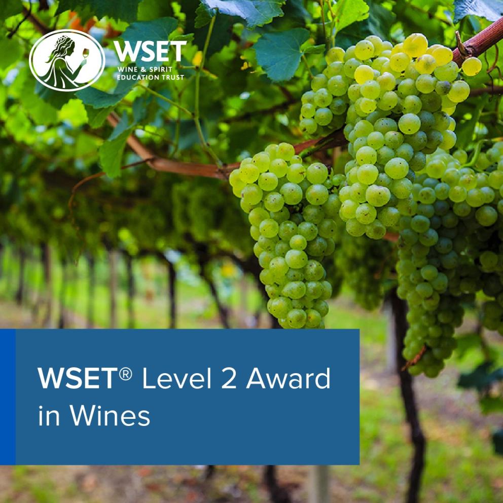 WSET Level 2 Award in Wines 