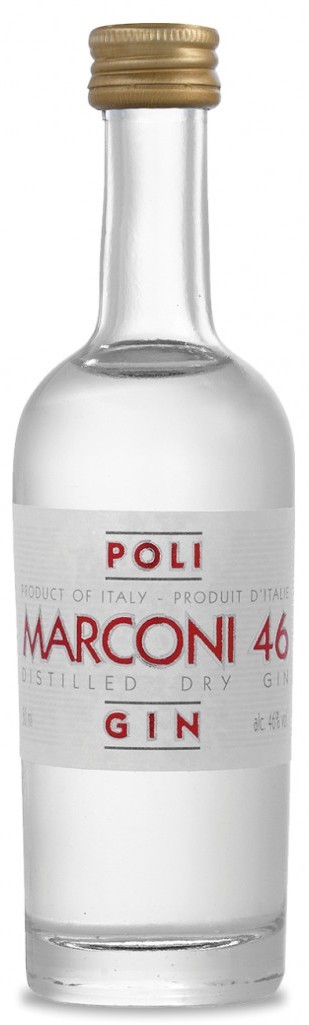 Poli Marconi 46 džinas 0,05 L