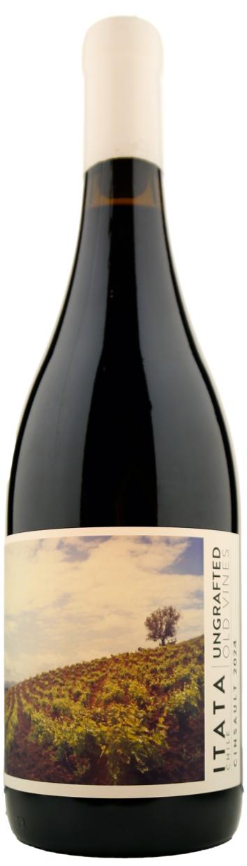 De Martino Ungrafted Cinsault Itata Valley 2024