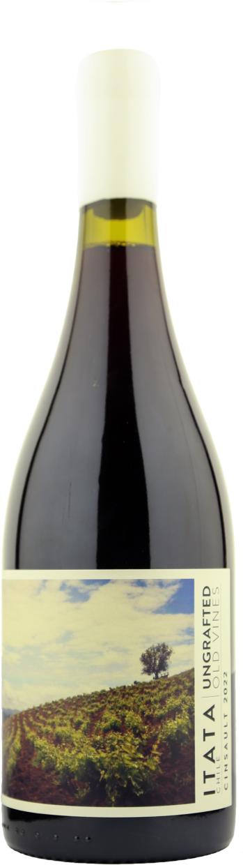 De Martino Ungrafted Cinsault Itata DO 2022 