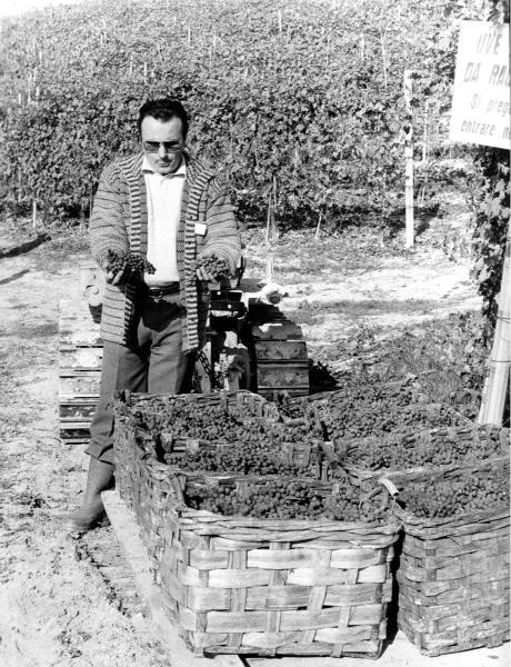 Angelo Gaja 1978 metais