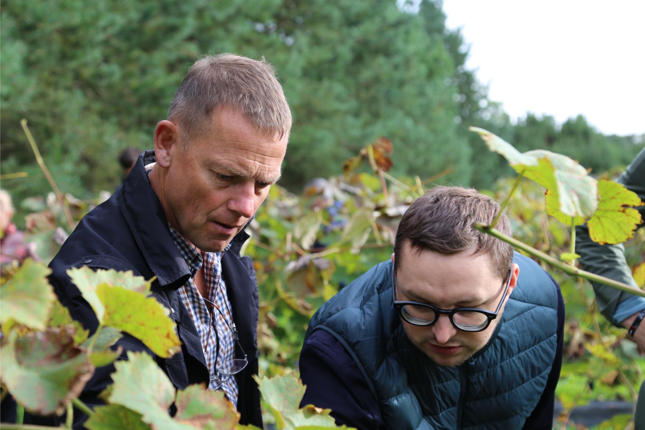 Raimundas Nagelė ir Petras Jarašūnas