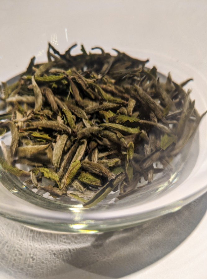 Baltoji arbata Organic Silver Needle