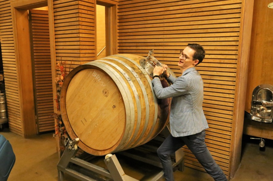 Vyno statinės Austrijos vyninėje