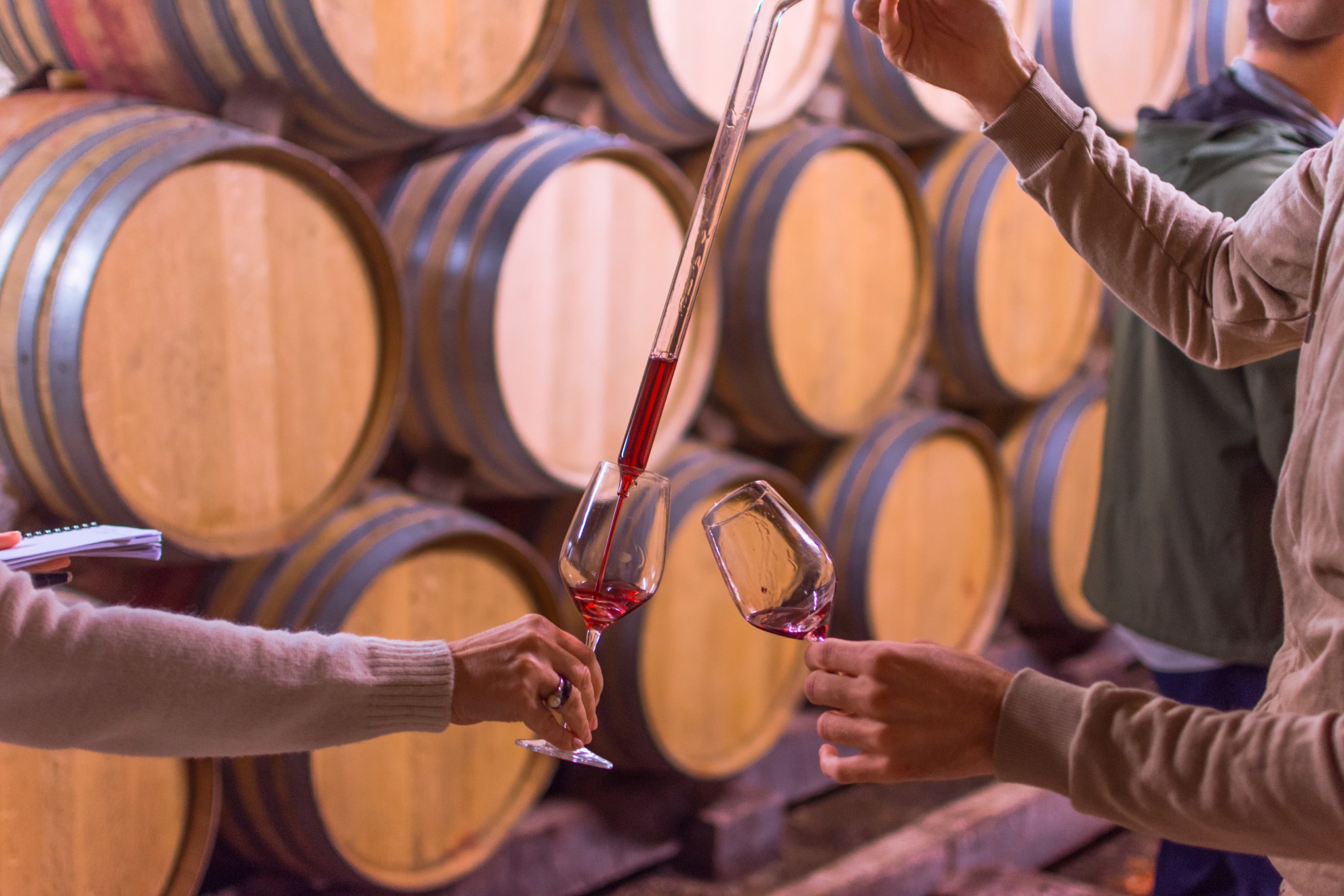 Ąžuolo statinės vyno rūsyje