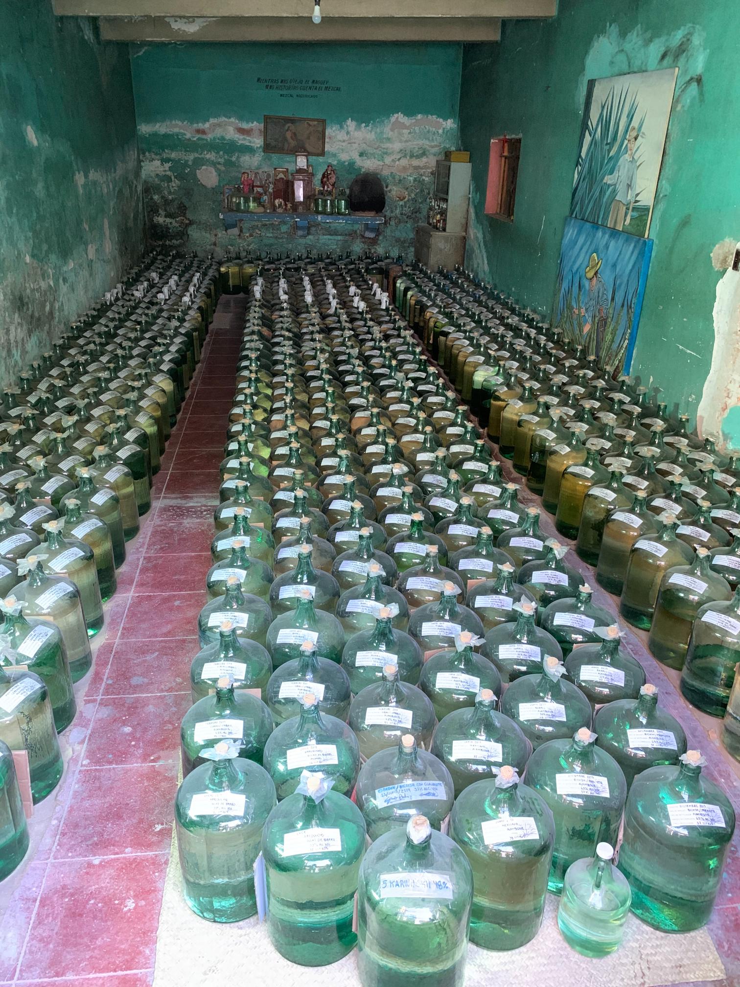 Agavos distiliatų buteliai