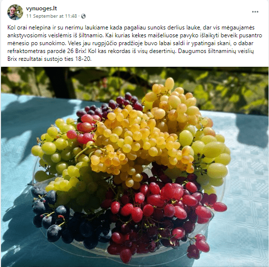 Andriaus Diliauto derlius