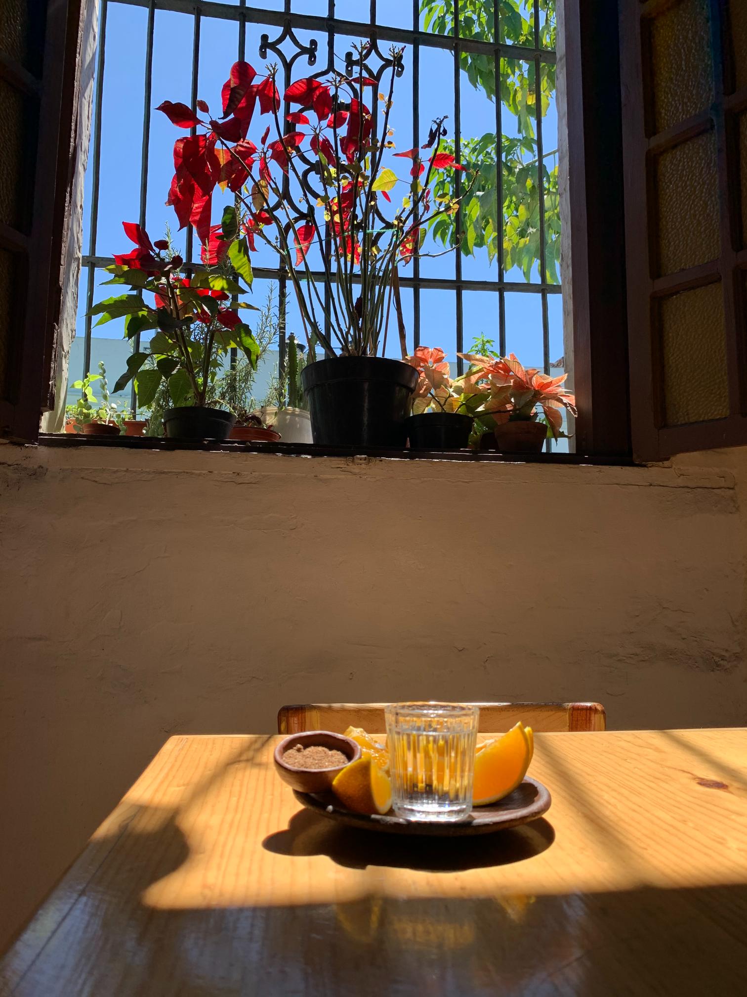 Agavų distiliatų kultūra