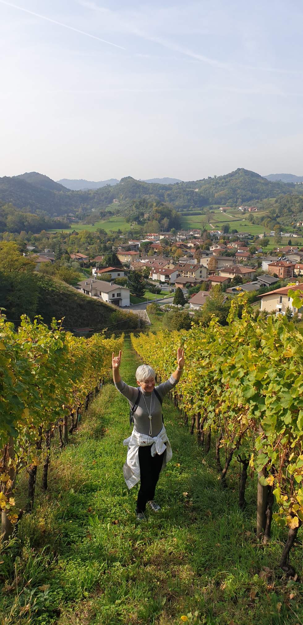 Vynuogynai ir kalvos Italijoje