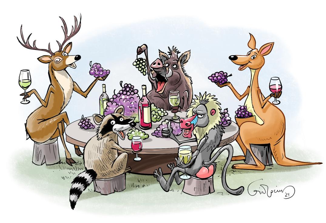 Gyvūnai, suvalgantys daugiausia vynuogių